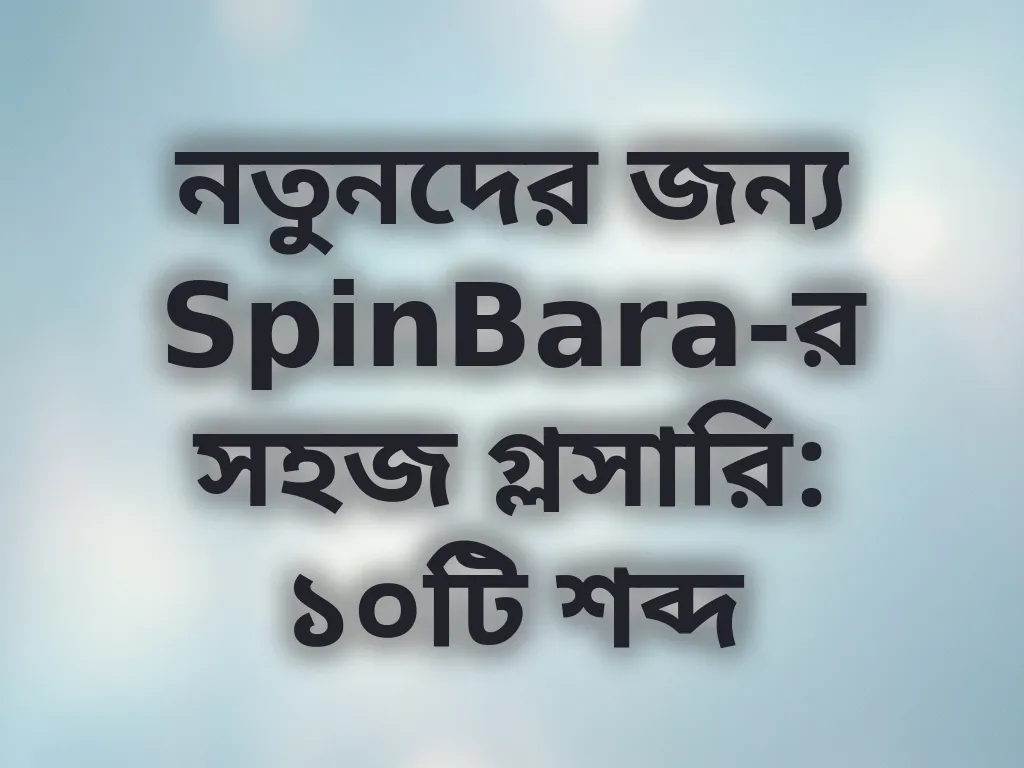 ক্যাসিনো টার্মস